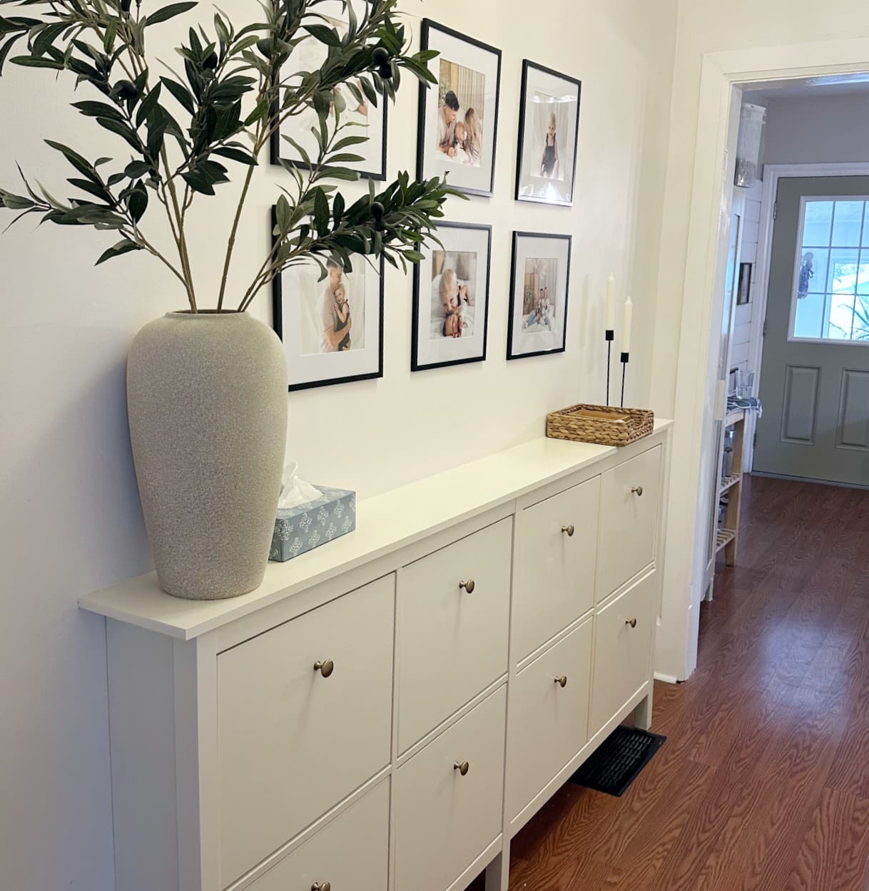 Shoe Cabinet Modifications